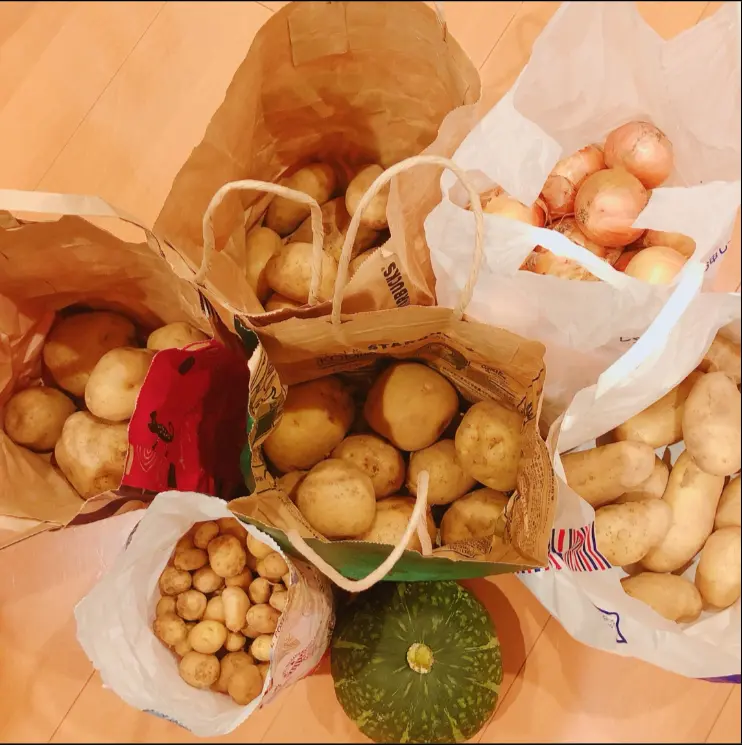 SACHI VEGE.png