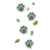VALORANT Contract Skye 4.png