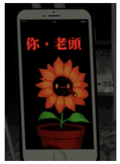 向日葵茄子封面圖2.png