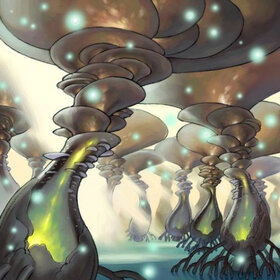 Spiritual Forest.jpg