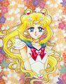 Sailormoon457746452355654.jpg