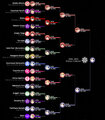 ISML2014 Stella bracket.jpg