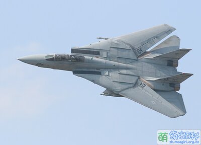 F-14 Tomcat.jpg