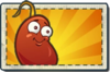 Chili Bean Boosted Seed Packet.png