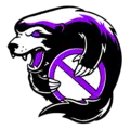 Virtus.pro Outsiders logo waifu2x.png