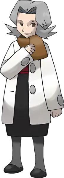 菊野 DP.png