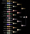 2015 Tiara bracket5.jpg