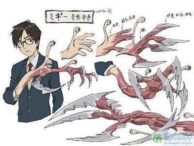 小右變形圖.jpg