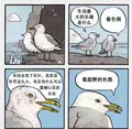 去碼頭整點薯條 看色圖.jpg