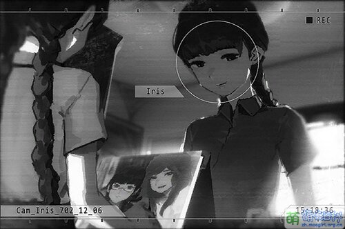 Iris1.jpg