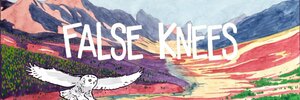 False Knees Banner.jpeg