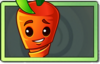 Intensive Carrot Uncommon Seed Packet.png