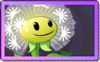 Dandelion Super Rare Seed Packet.png