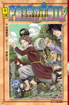 FAIRY TAIL novel2.jpg