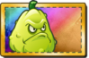 Squash Premium Seed Packet.png