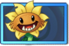 Primal Sunflower Rare Seed Packet.png