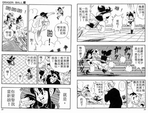 DragonBall 15 021.jpg