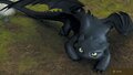 Toothless 3.jpg