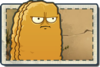 Tall-nut Wild West Seed Packet.png