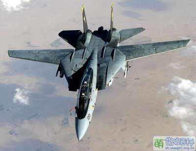 F-14「雄貓」.jpg