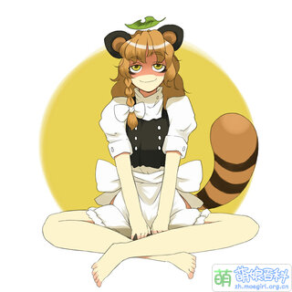 Tanuki.jpg