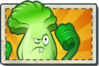 Bonk Choy Boosted Seed Packet.png