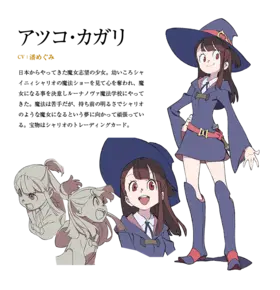 Akko.png