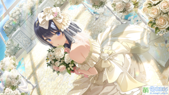 Perfect Bride 長瀨琴乃.png