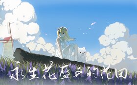 永生花盛開的花田.jpg