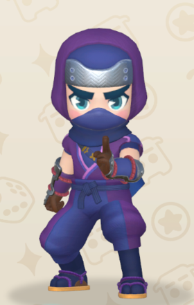 R11Ninja3D.png