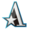 Team Aster logo.png