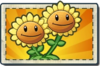 Twin Sunflower Boosted Seed Packet.png