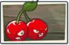 Cherry Bomb Newer Seed Packet.png