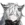 拉普蘭德