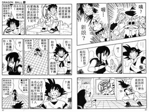 DragonBall 15 022.jpg