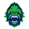 OWL Vancouver Titans Icon.svg