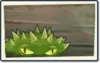 Spikeweed Newer Seed Packet.png