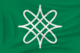 Flag Hausa.png