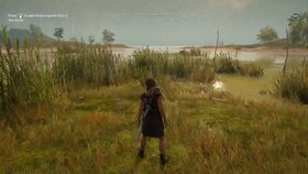 Assassin's Creed Odyssey Wetland.jpg