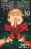 咒術迴戰 30.jpg