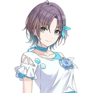 SC Portrait 20 Toru Fes.png