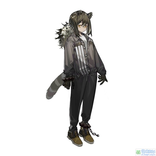 Ak char 451 robin-3.png
