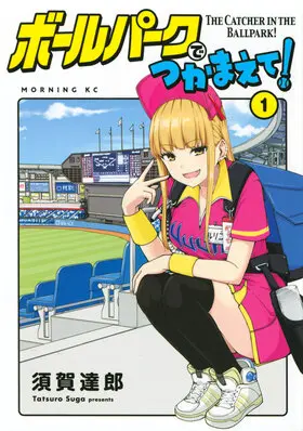 陽光馬達棒球場1.jpg