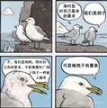 去碼頭整點薯條 鴿子.jpg