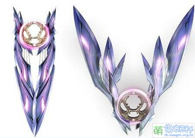 桔梗01.jpg