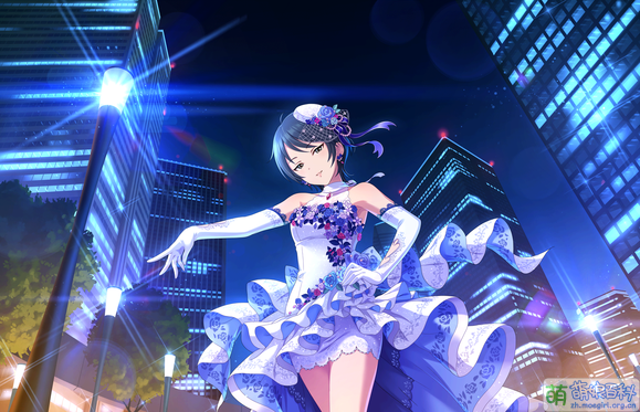 SSR［夜更けに咲く才媛］和久井留美+.png