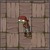 Pirate Zombie Almanac.jpg
